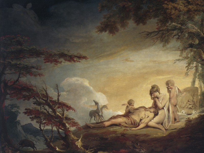 the death of adonis james barry